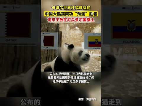 德甲第,轮经典瞬间,集锦,双赢彩票,彩票平台,双重保障,在线投注,彩票分析