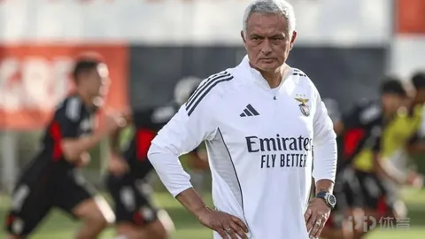 日本乒乓球名将丹羽孝希被指涉赌被捕，本人承认指控——据北青体育报道